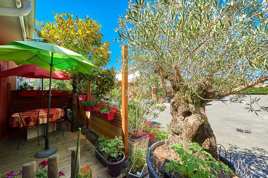 Residence La Baie Des Landes Gujan-Mestras Εξωτερικό φωτογραφία
